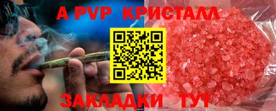 спиды Моздок